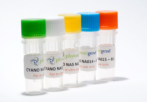 Phytoxigene™ CyanoNAS Nucleic Acid Standards