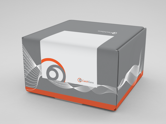 iCatcher DNA kit