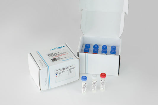 FlexStar® FLU Type & SARS-CoV-2 Detection Mix 1.5 RUO