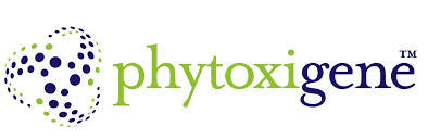 Phytoxigene™ CyanoDTec Toxin Genes Test